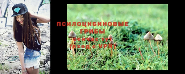 круглые Аркадак