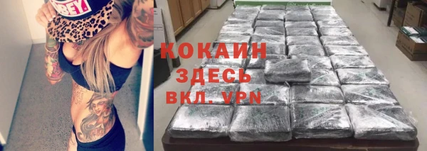 крисы Арсеньев